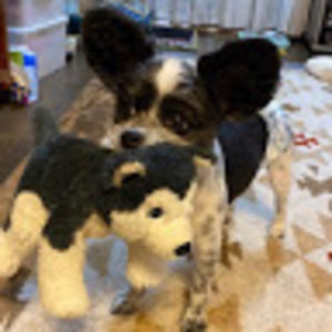 Meet your Posher, Miwa